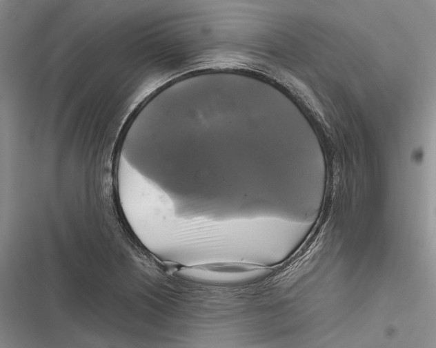 X0000116801226201001151115