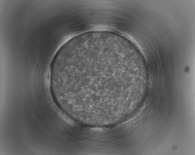 X0000116801227201001151115