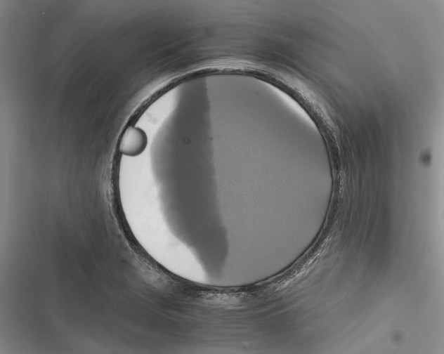 X0000116801229201001151116