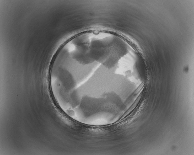 X0000116801231201001151116