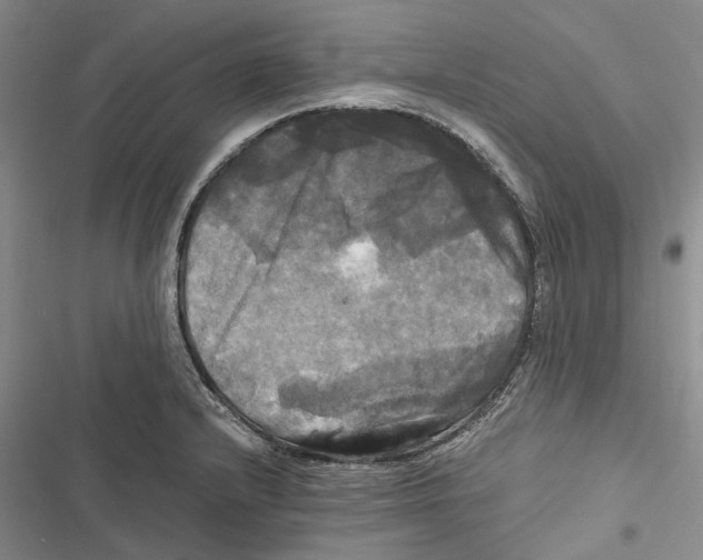 X0000116801232201001151116
