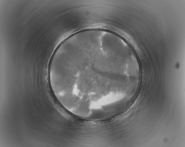 X0000116801234201001151116