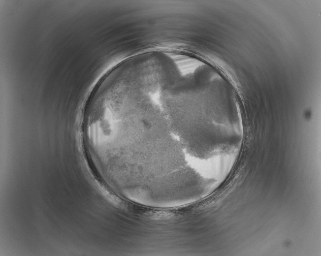 X0000116801235201001151116