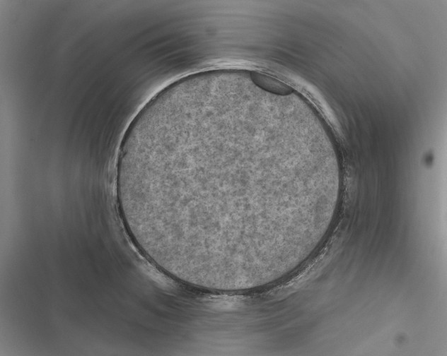 X0000116801236201001151116