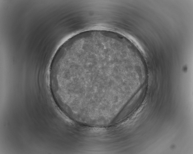 X0000116801238201001151116