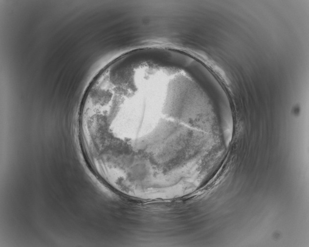 X0000116801239201001151116