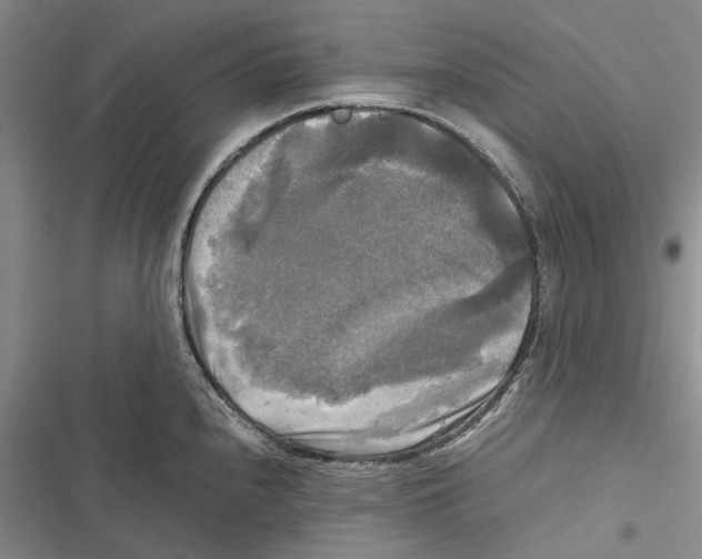 X0000116801240201001151116