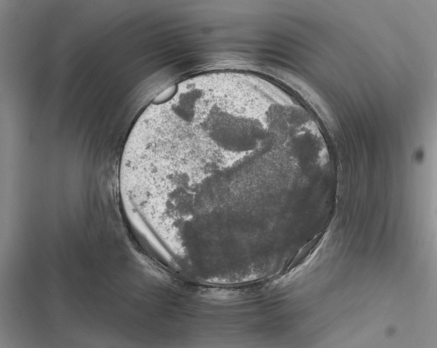 X0000116801241201001151116