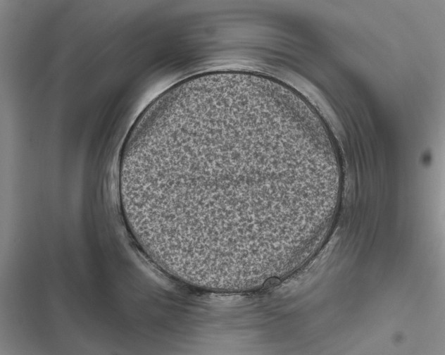 X0000116801242201001151116