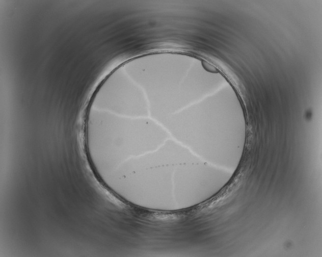 X0000116801243201001151116