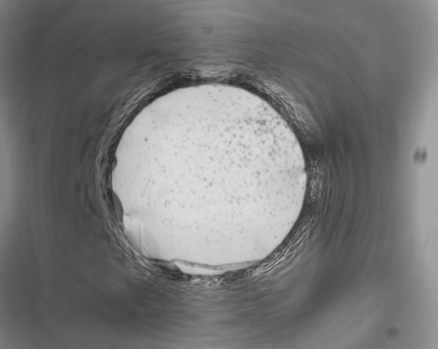 X0000116801249201001151115
