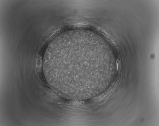 X0000116801251201001151115