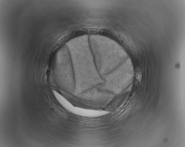 X0000116801252201001151115