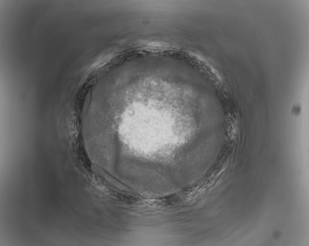 X0000116801253201001151115