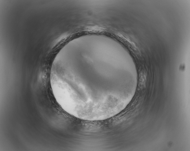 X0000116801254201001151115