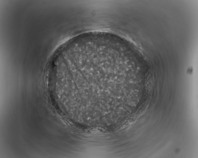 X0000116801255201001151115