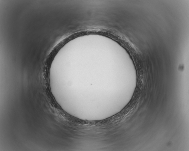X0000116801256201001151115
