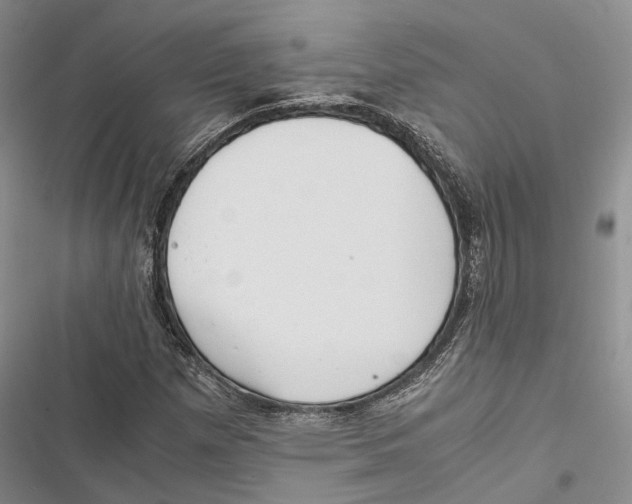 X0000116801257201001151115