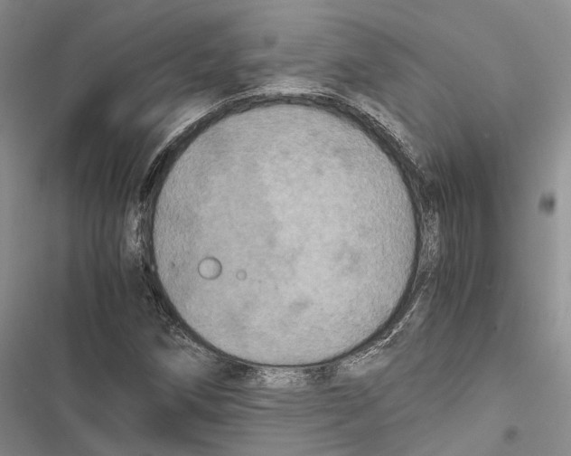 X0000116801258201001151115