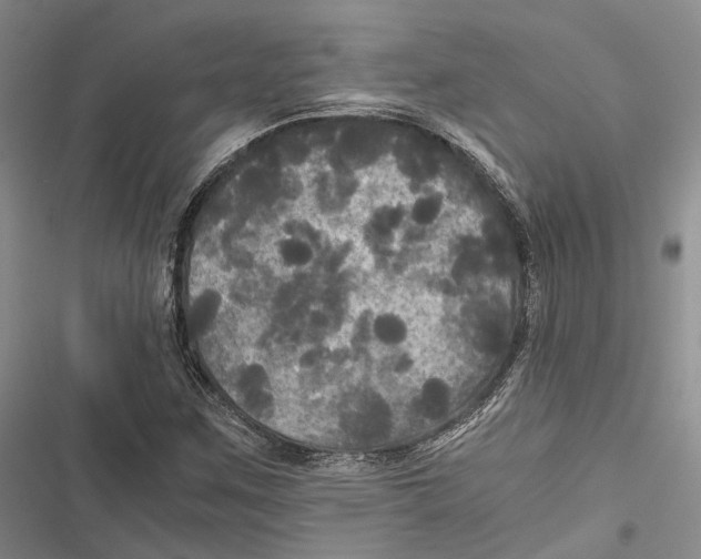 X0000116801259201001151115