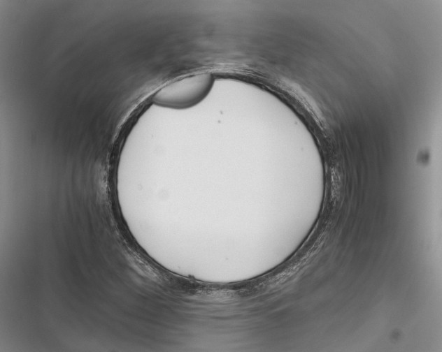 X0000116801260201001151115