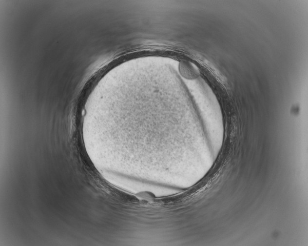 X0000116801261201001151115