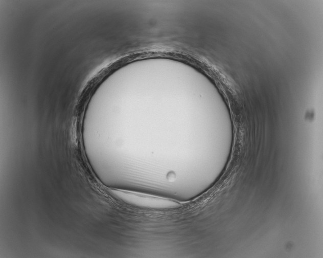 X0000116801262201001151115