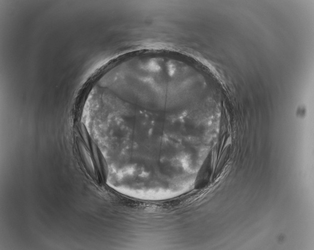 X0000116801263201001151115