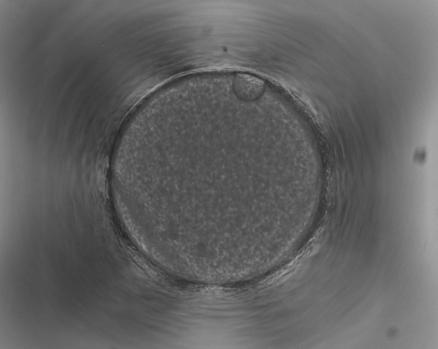 X0000116801265201001151115