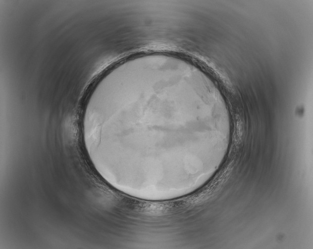 X0000116801266201001151115