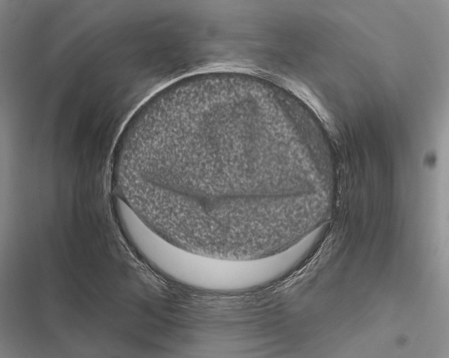 X0000116801268201001151115