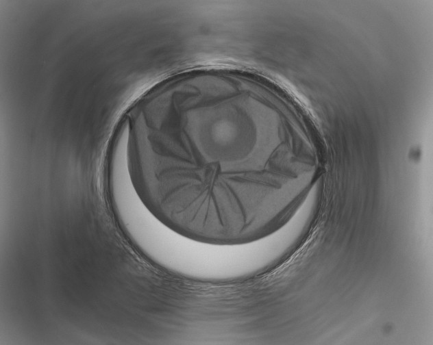 X0000116801269201001151115