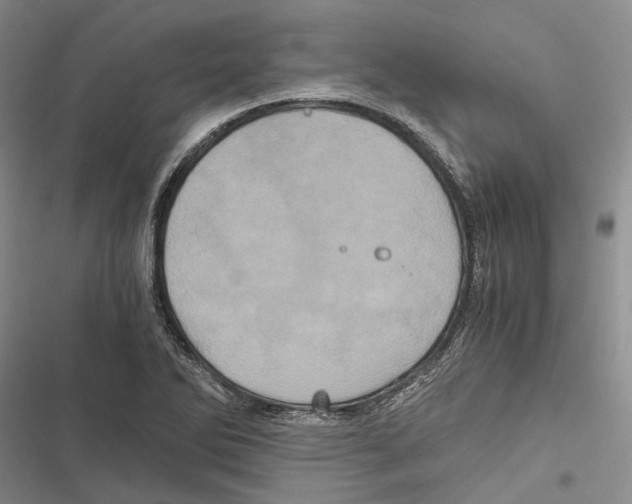 X0000116801270201001151115