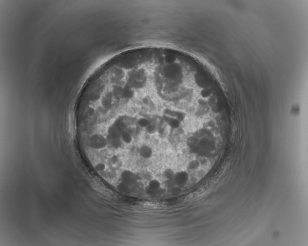 X0000116801271201001151115