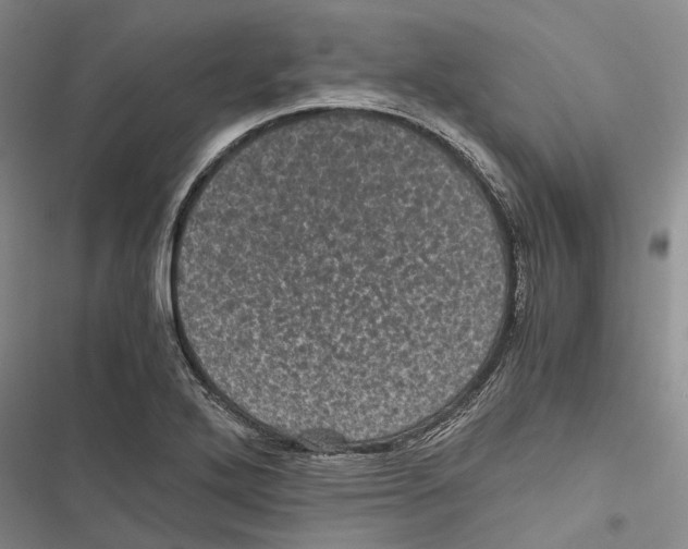 X0000116801272201001151115
