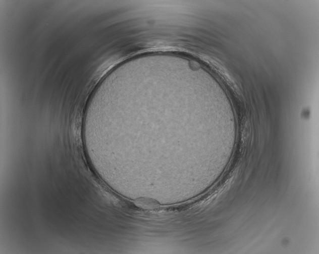 X0000116801273201001151115