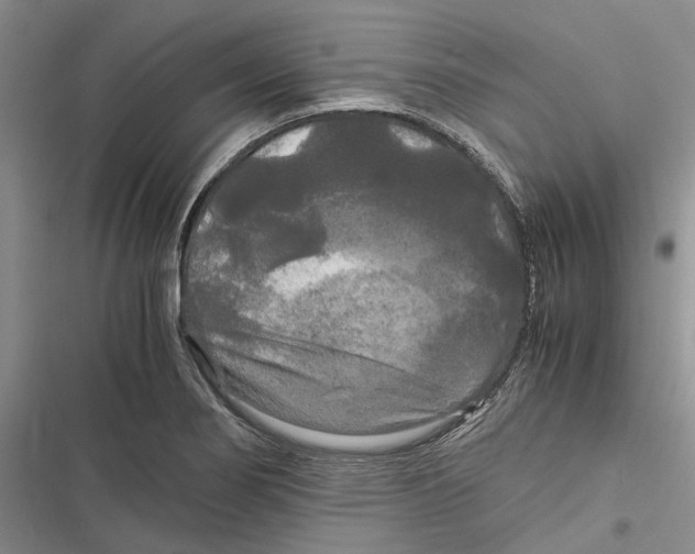 X0000116801274201001151115