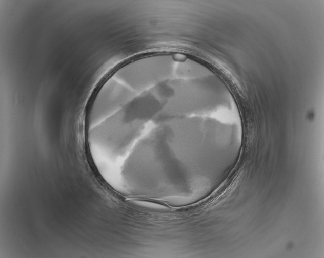 X0000116801275201001151115
