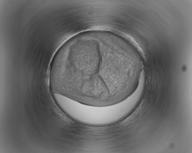 X0000116801276201001151115