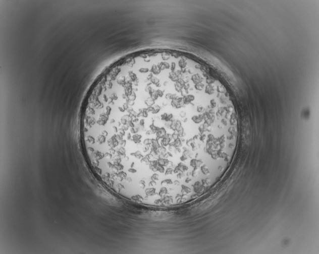 X0000116801280201001151115