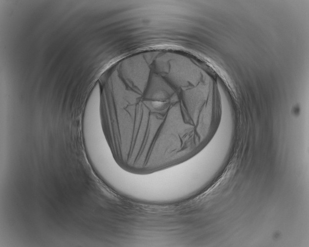 X0000116801281201001151115