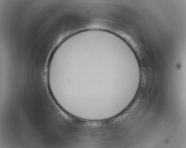 X0000116801286201001151115