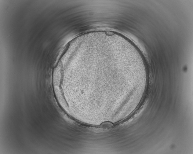 X0000116801289201001151115