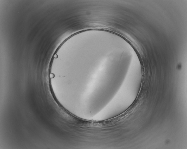 X0000116801291201001151115