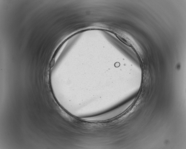 X0000116801292201001151115