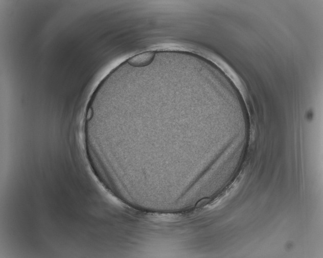 X0000116801293201001151115