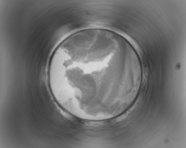 X0000116801294201001151115