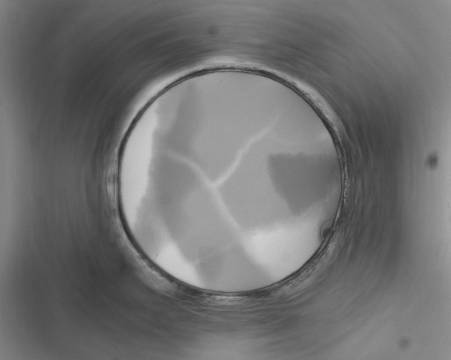 X0000116801295201001151114