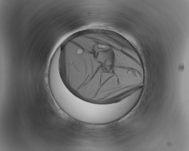 X0000116801296201001151114