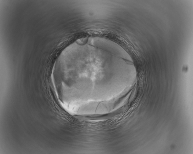 X0000116801297201001151114